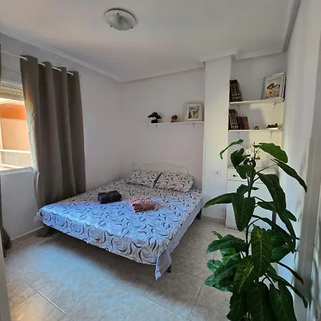 Cosy Sp In Apartment Torrevieja