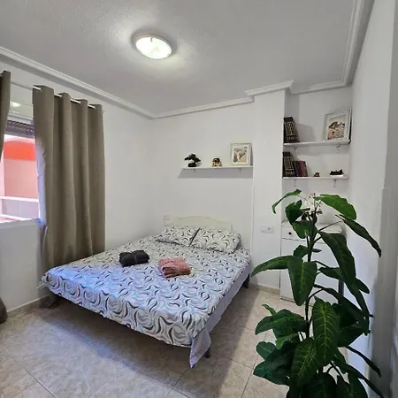 Apartment Cosy Sp In